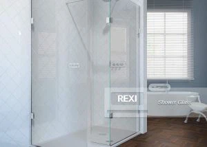 Uși de duș din sticlă
